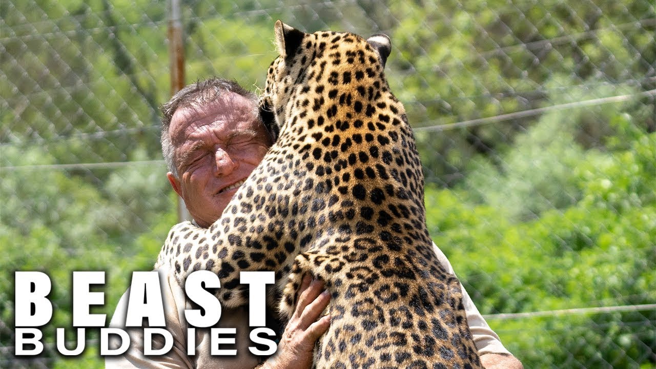 The Man Who Lives With Leopards | BEAST BUDDIES