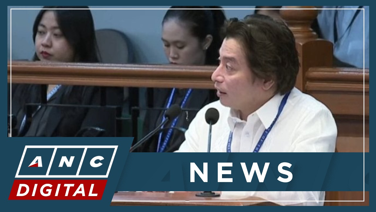 'Nice clean round': Roy says prosecution, defense both played it well on Day 10 | ANC