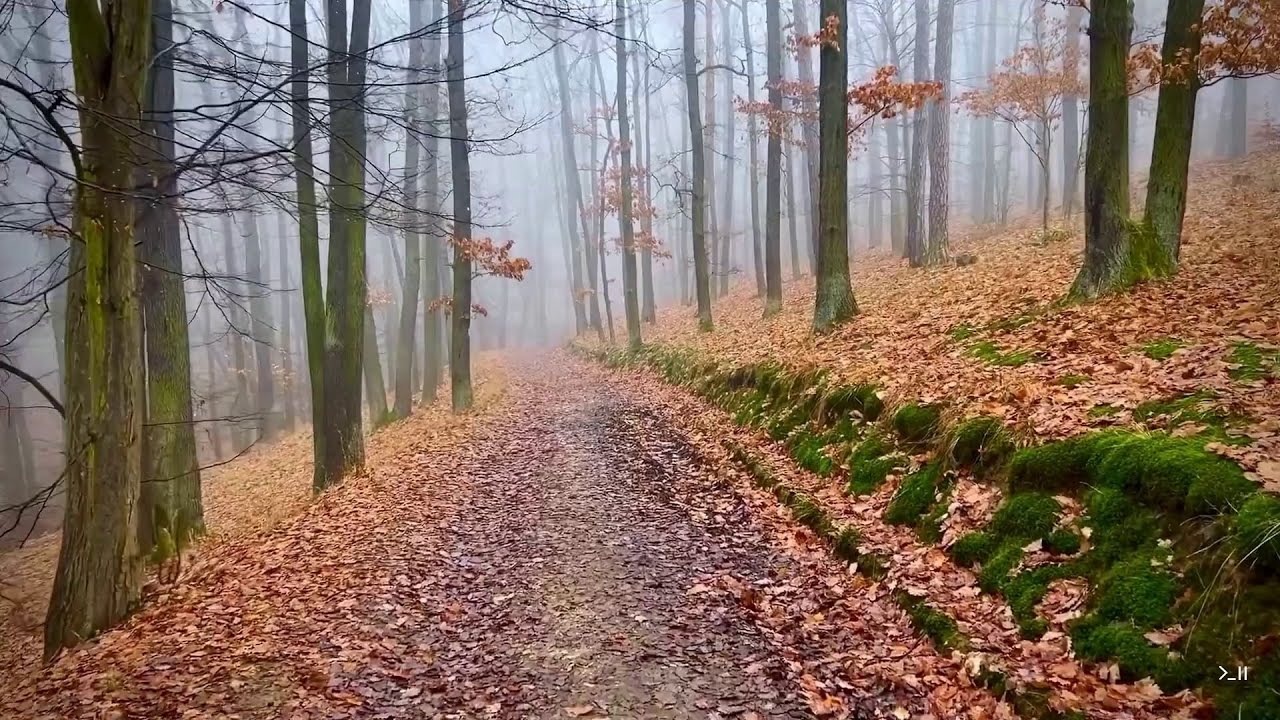 3-Minute Serenity: Chill Lo-Fi Sounds to Unwind Your Mind