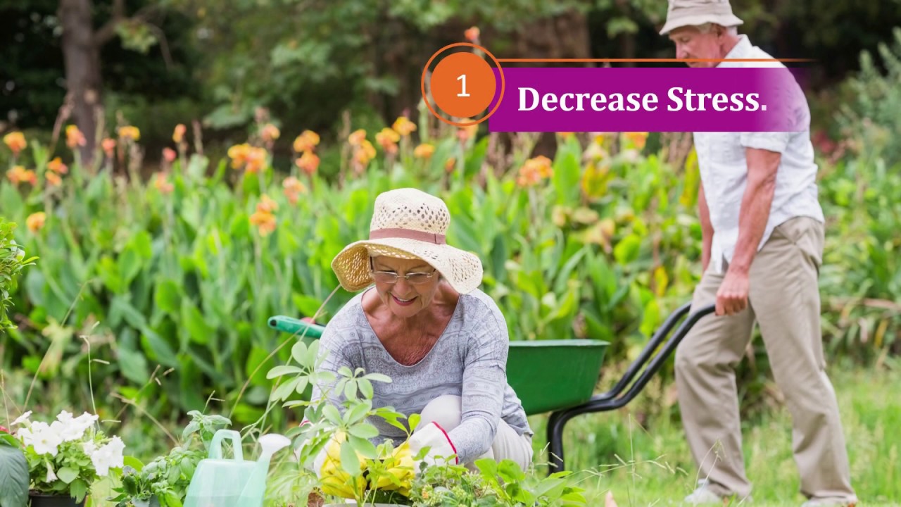 The Benefits of Helping Others: Improve Your Health Through Good Deeds