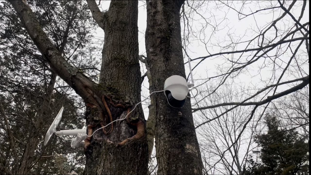 Reolink Go PT Canada Review - Best cellular trail camera/security camera you can buy!