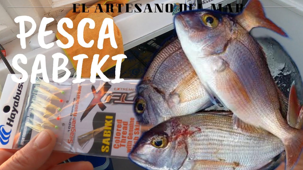 PESCA CON SABIKI.#elartesanodelmar