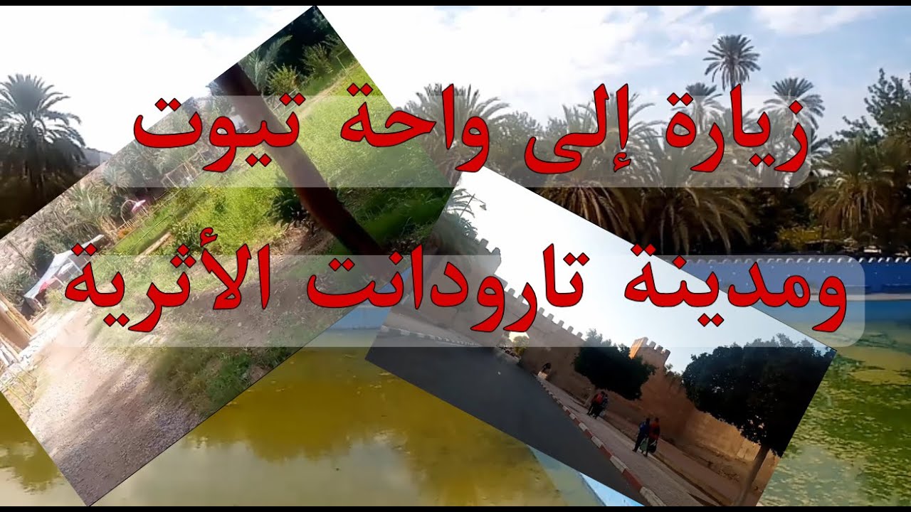 زيارة إلى أجمل واحة بسوس واحة تيوت وإلى المدينة الأثرية تارودانت Tiout oasis and Taroudant city