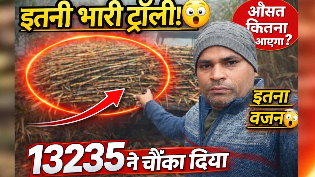 👉पहली ट्रॉली से निकलेगा पूरा रिज़ल्ट! 13235 गन्ना औसत कितना देगा? 😱
