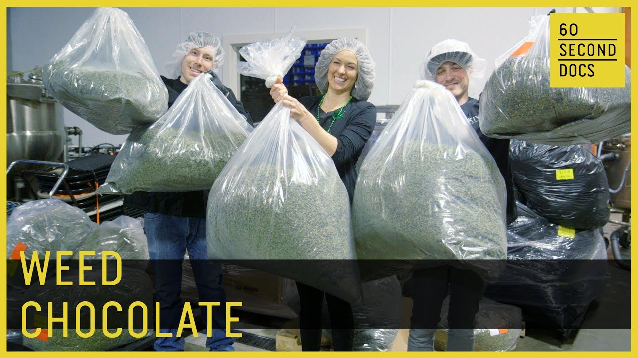 Weed Chocolate | Kiva Confections // 60 Second Docs