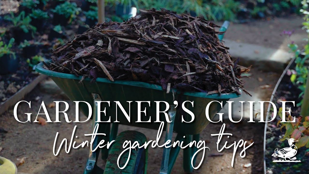 Winter Gardening Tips | Country Living UK
