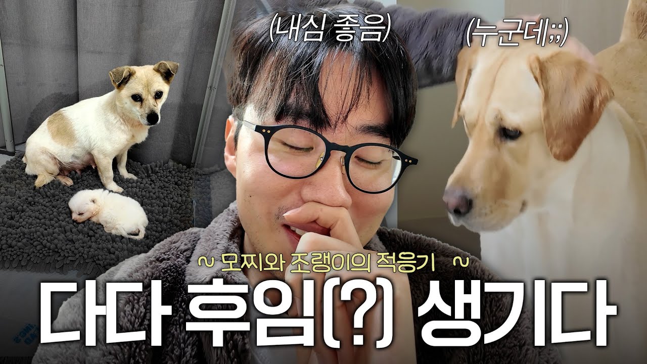 다다 후임 모찌, 조랭이 인사드립니다.