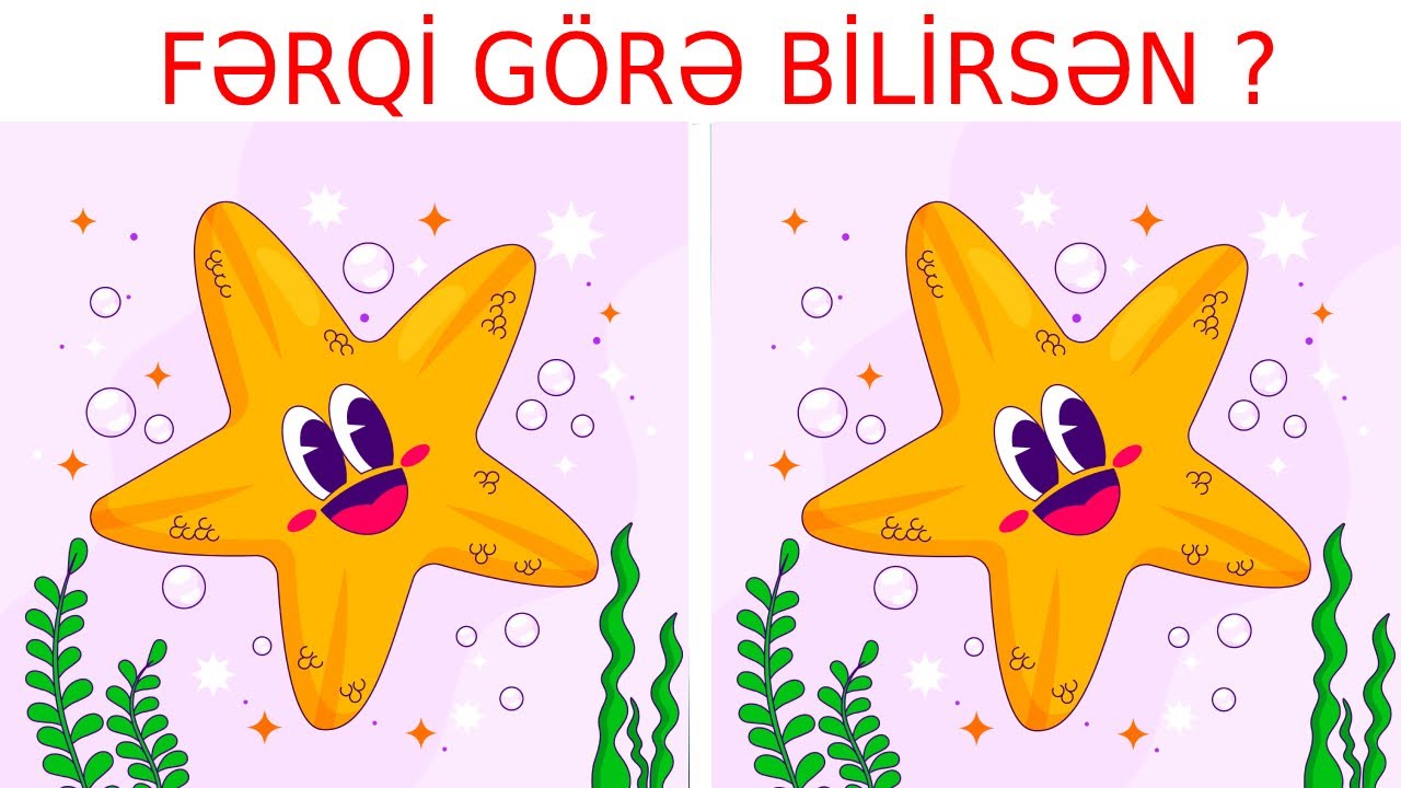 Şəkildəki Fərqi Tapa Bilən Ne&ccedil;ə Nəfər Var ? - Bulmaca Oyunu