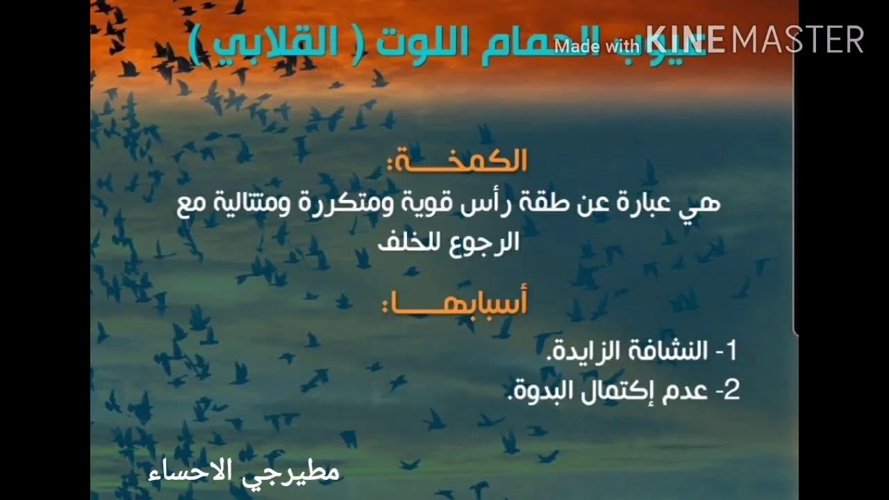 عيوب وأخطاء الحمام القلابي