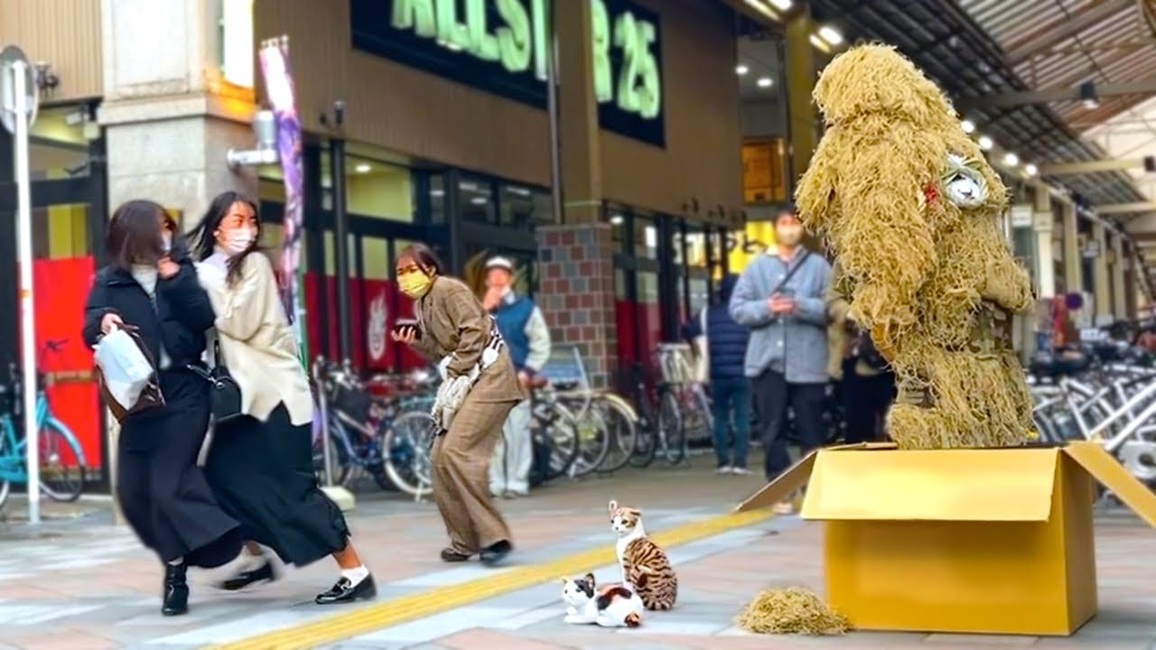 Strawman and stray cats scaring people : Japan's New Year Starts with a crazy screams