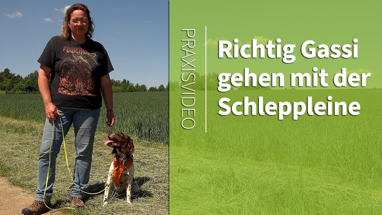Gassi gehen ➡️ Richtig Gassi gehen mit der Schleppleine ➡️ Praxisvideo ✔️