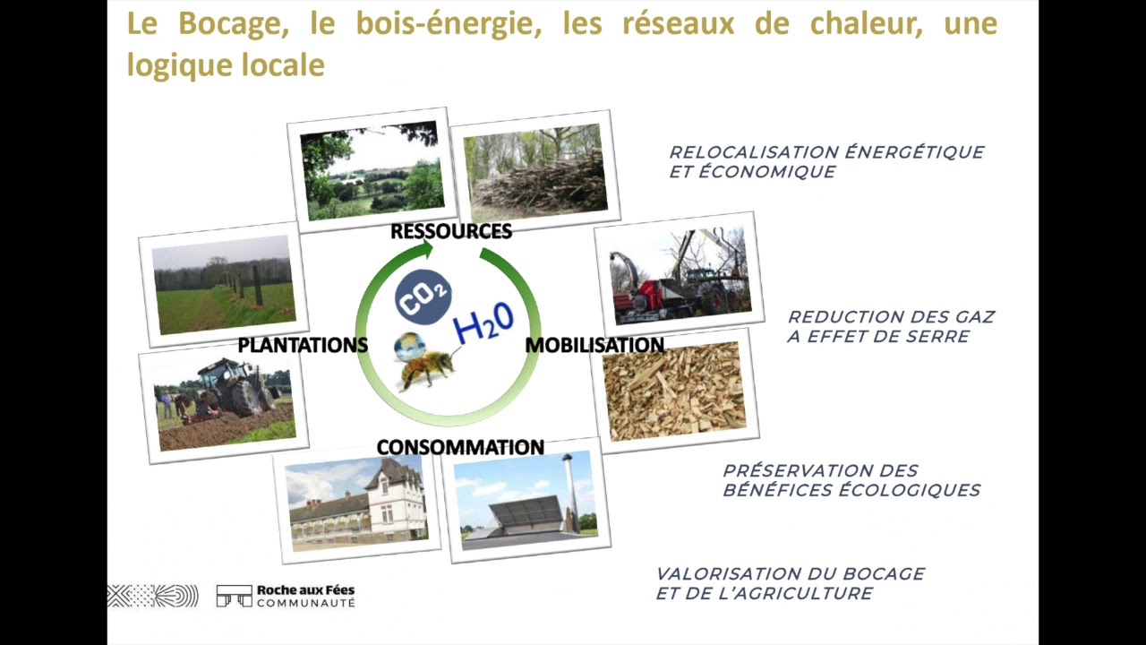 Montage groupé et mutualisé de réseaux de chaleur à Roche aux Fées Communauté
