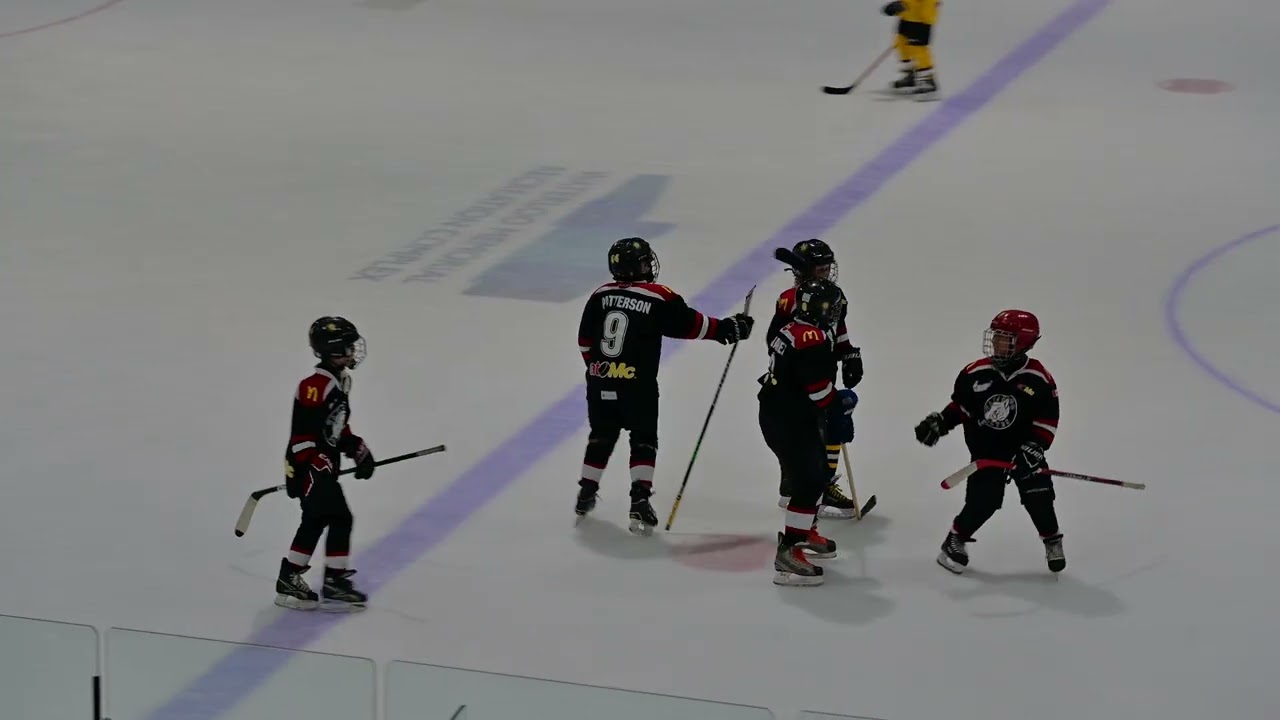 U11 HL game Timber Wolves vs Ice Wolves - 3rd period