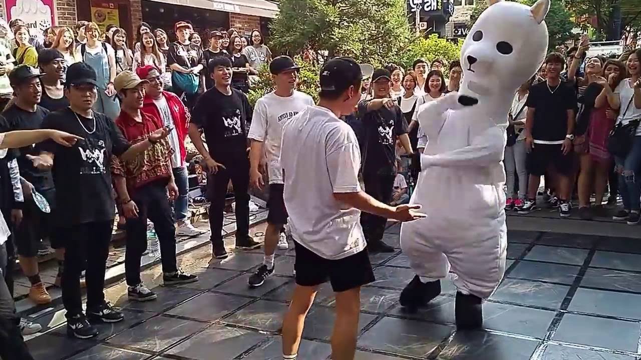 댄스버스킹 중 알파카 난입 ㅋㅋㅋㅋ