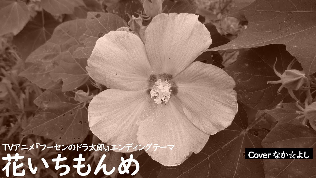花いちもんめ／なぎらけんいち【うたスキ動画】