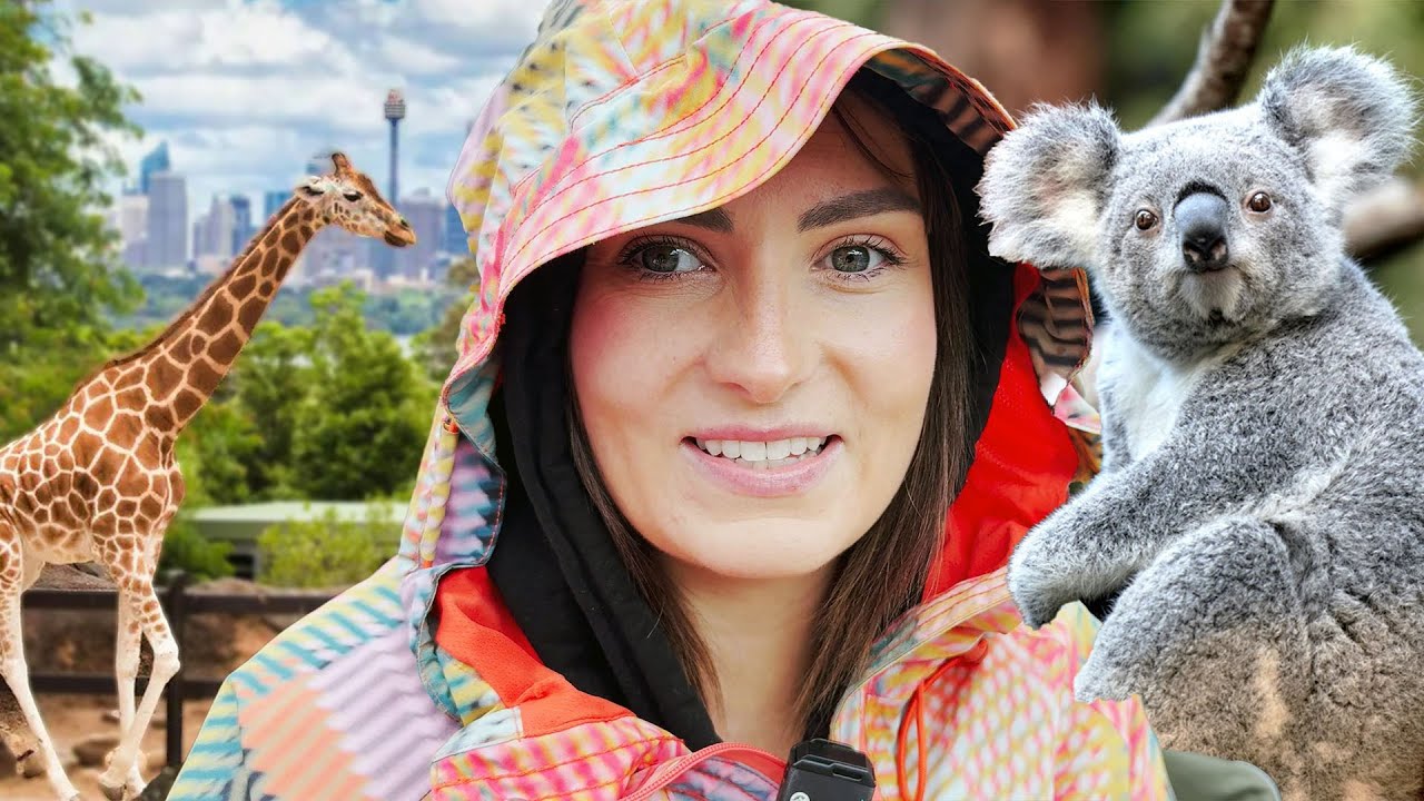 I Fed A Wallaby & Slept Next To A Koala at Taronga Zoo in Sydney!