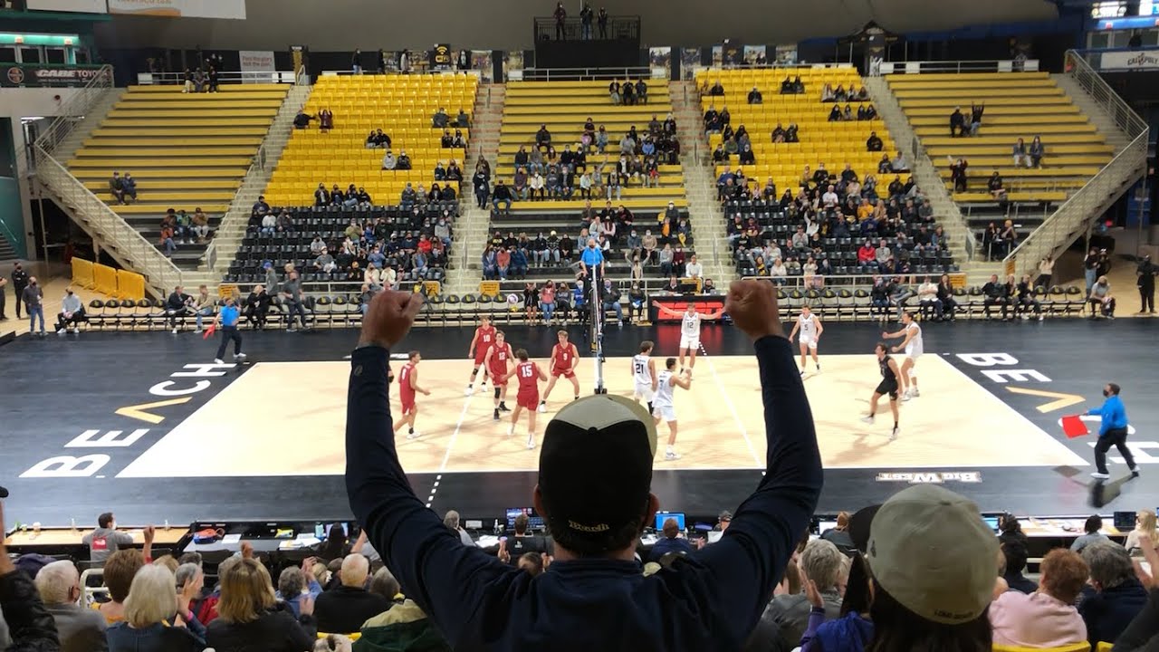 Long Beach vs Stanford Volleyball 2022 Men's