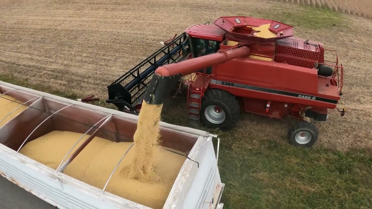 Nice Field & Machine - CASE IH 2366 - Soybeans - #harvestchaser 4K