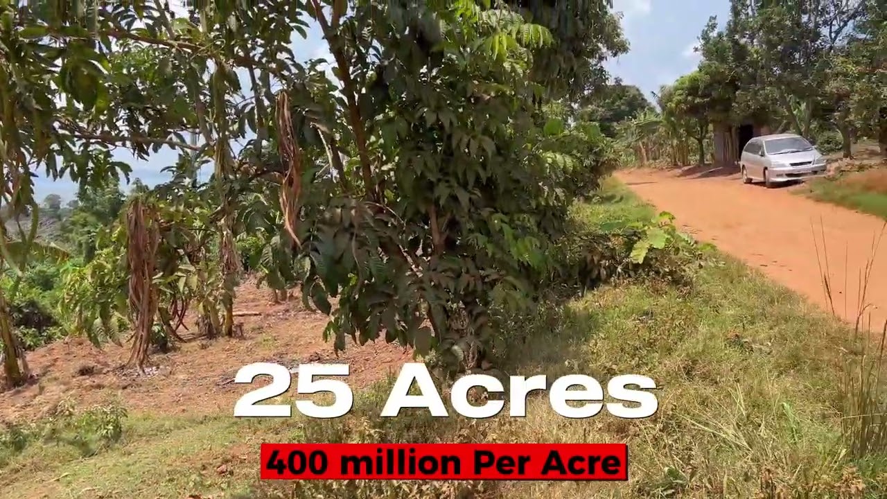 This beach land property is for sale on shores of Lake Victoria