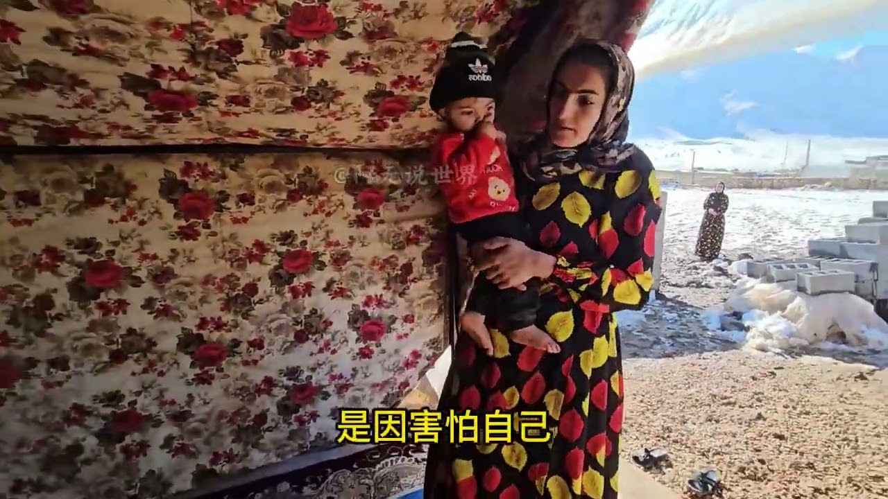 1月28日-莱拉厚着脸皮过来找翠花，要求撤回起诉#翠花的一生 #伊朗翠花 #伊朗游牧民族