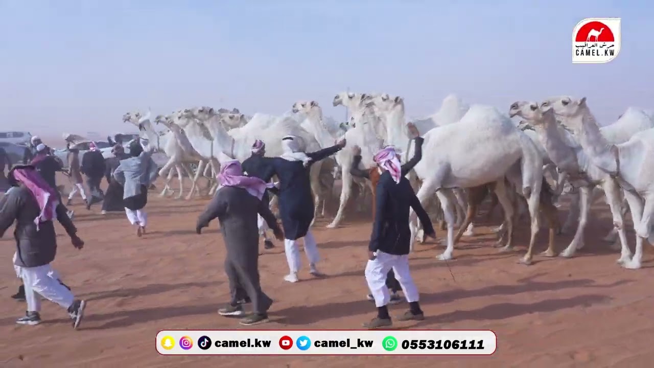 مسيرة نواضات لرجل الاعمال  معيض بن فالح بن نوضا العرجاني