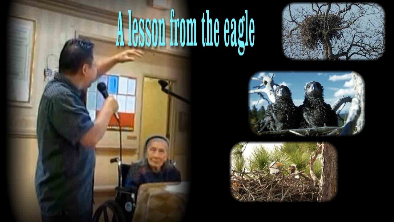 An Eaglet learning to fly