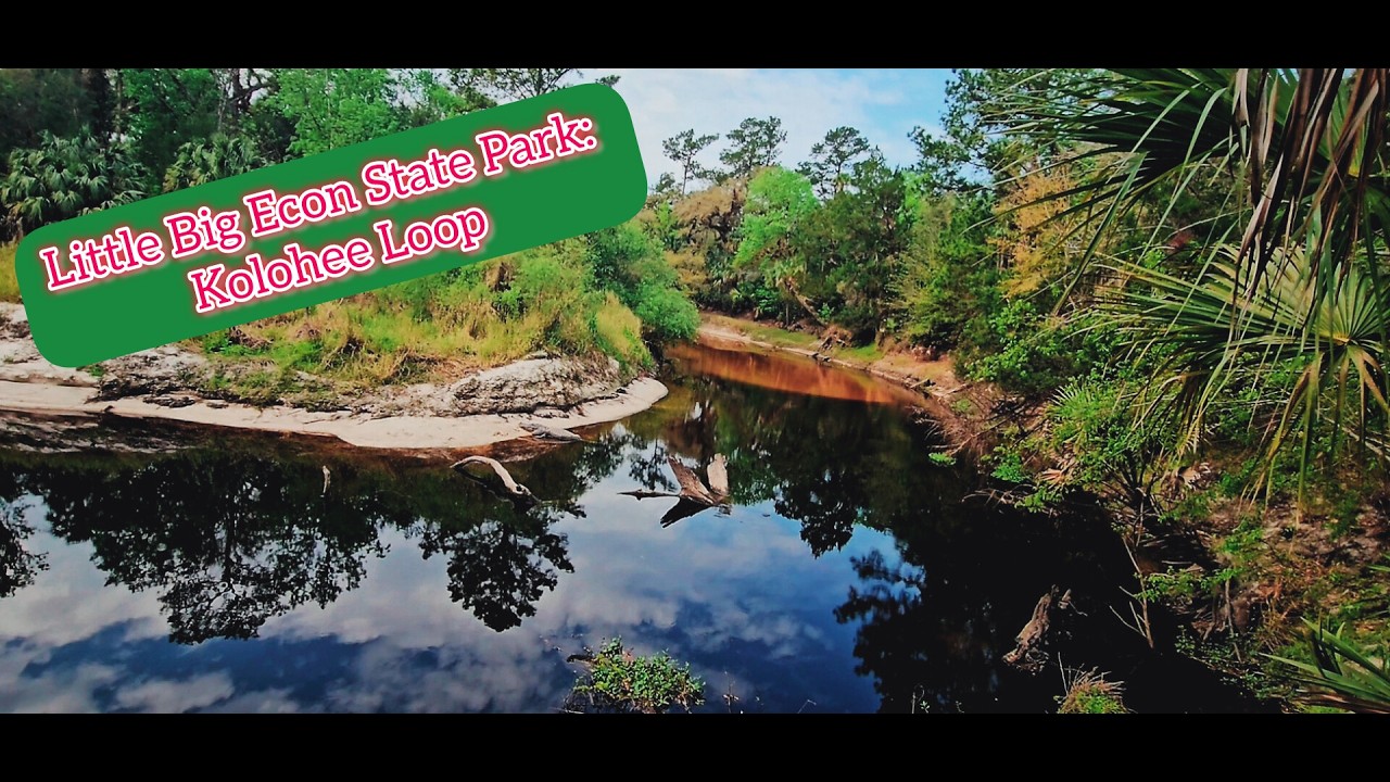 🌲 Embark on a Virtual Hike Through the Kolokee Loop in Florida 🥾