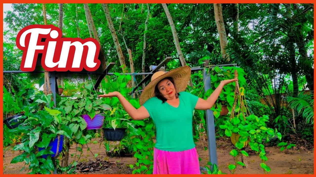 ÚLTIMO VÍDEO NO VEIVEIRO.  JÁ TIREI A MAIORIA DAS PLANTAS 