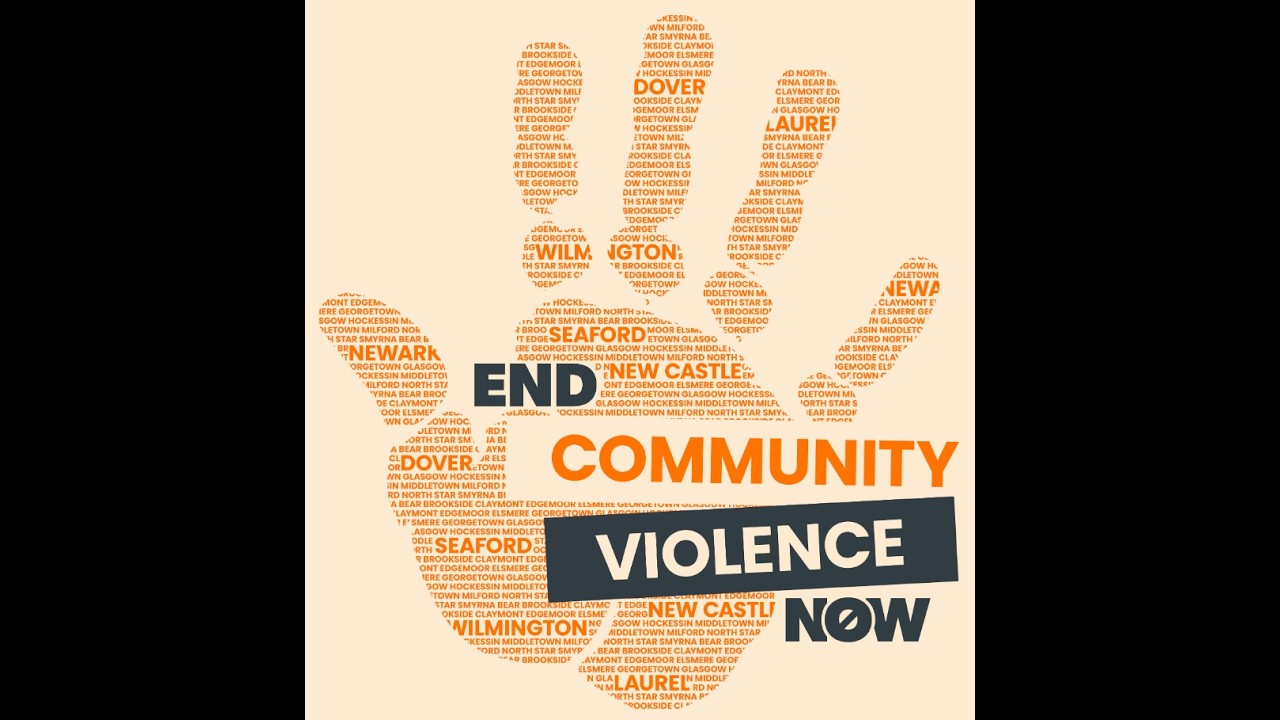 BSN 325 Group Project Violence in the Community