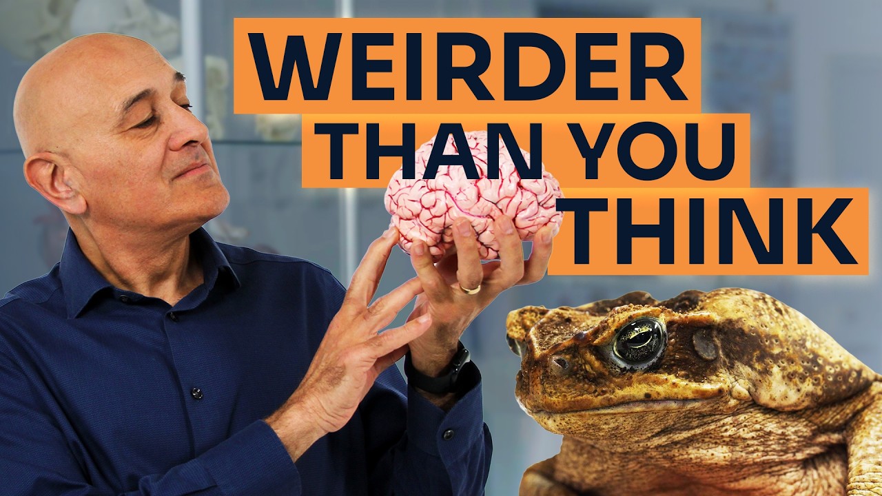 Why Evolution Split Your Brain In Half &ndash; Brain Asymmetry with Jim Al-Khalili