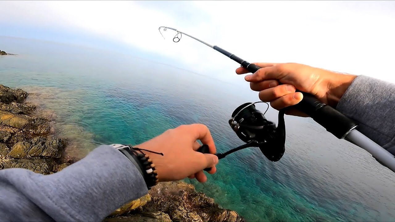 Shore Fishing in Corsica - Amberjack, Barracuda, Dentex