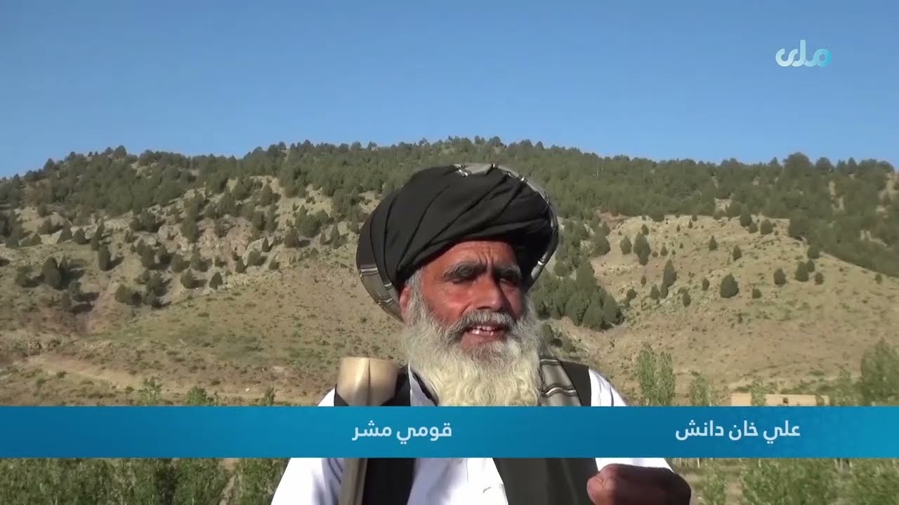 د پکتیکا نکه ولسوالۍ؟