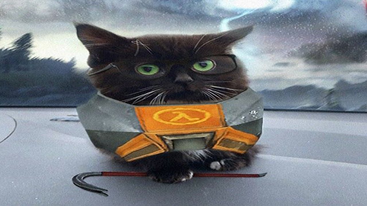 Top 5 Half Life
