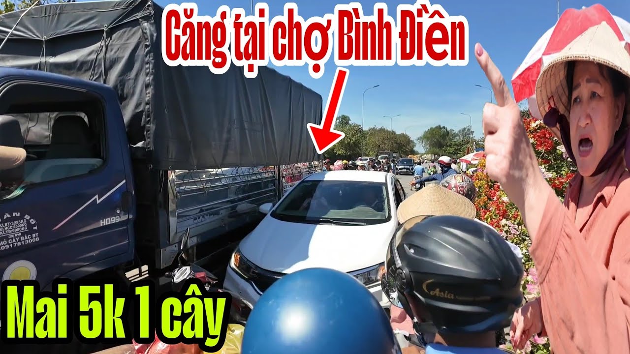 Căng tại Chợ Bình Điền ngàn cân Mai 5k 1 cây rẻ chưa từng có cơ quan chức năng đông đảo.