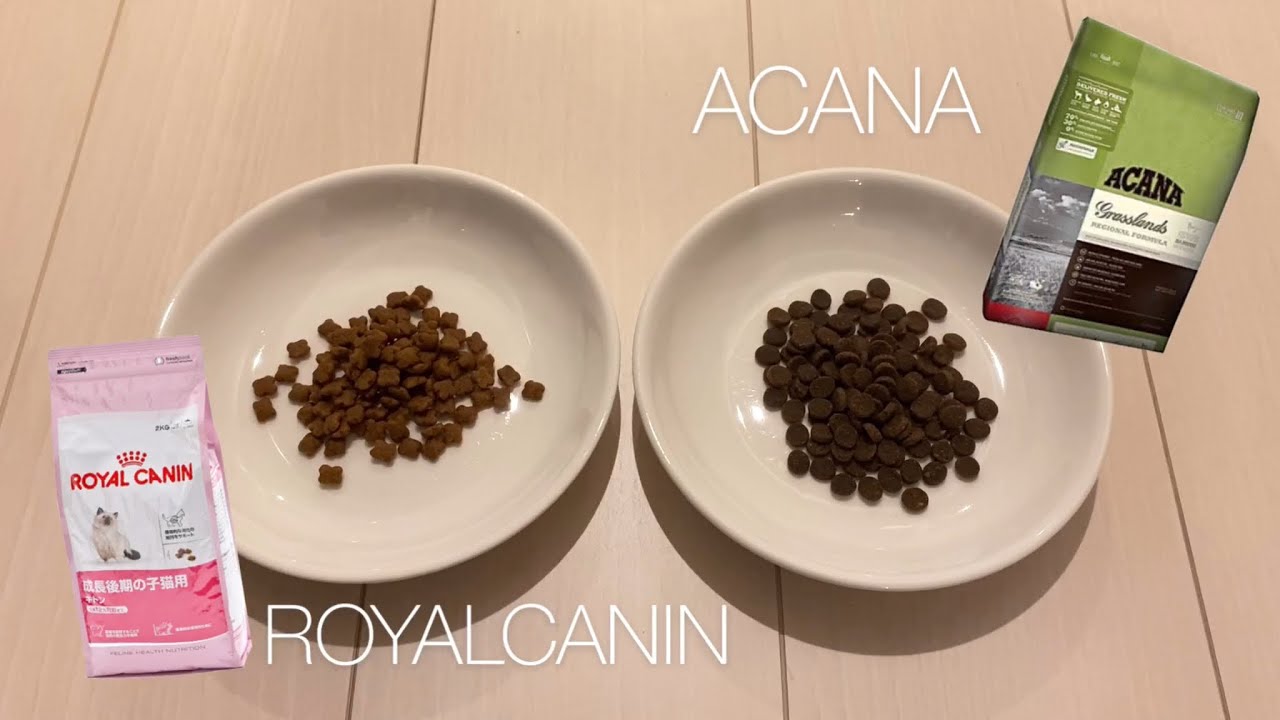 ACANA  vs.  ROYAL CANIN【Confrontation of dry food】