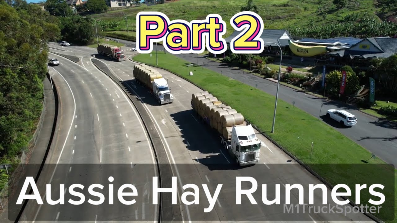 Aussie Hay Runners Part 2/4 Trucks going past the Big Banana Coffs Harbour on Australia Day 2024.