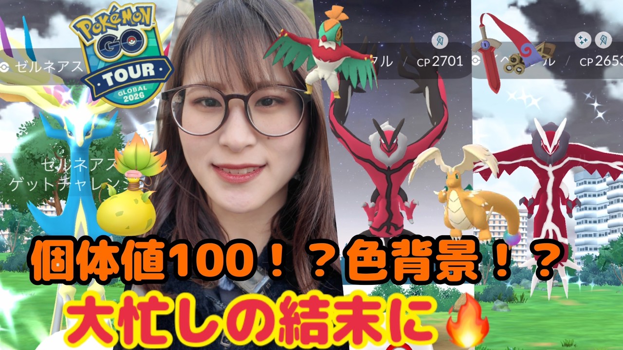 【GO TOURグローバル】個体値100&色背景きたああああ✨大忙しの結末🔥