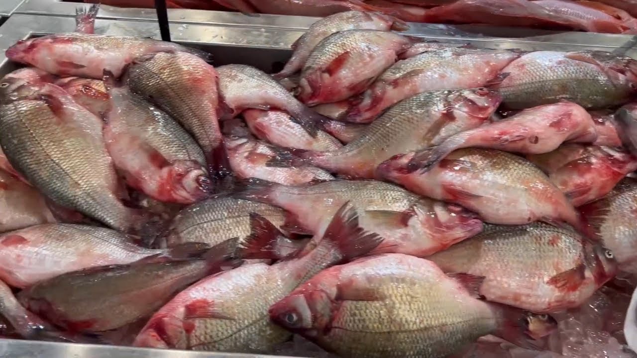 Join me on a Seafood Tour of HMart in Edison, New Jersey
