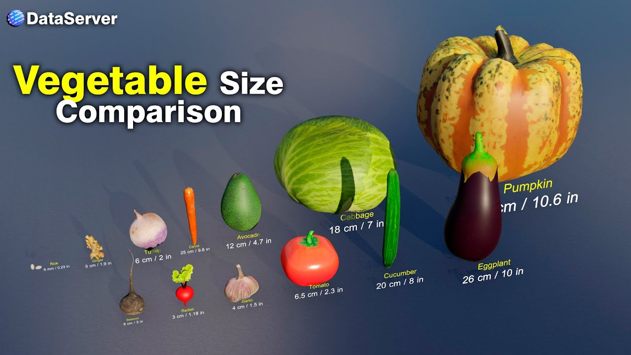 Vegetable Size Comparison