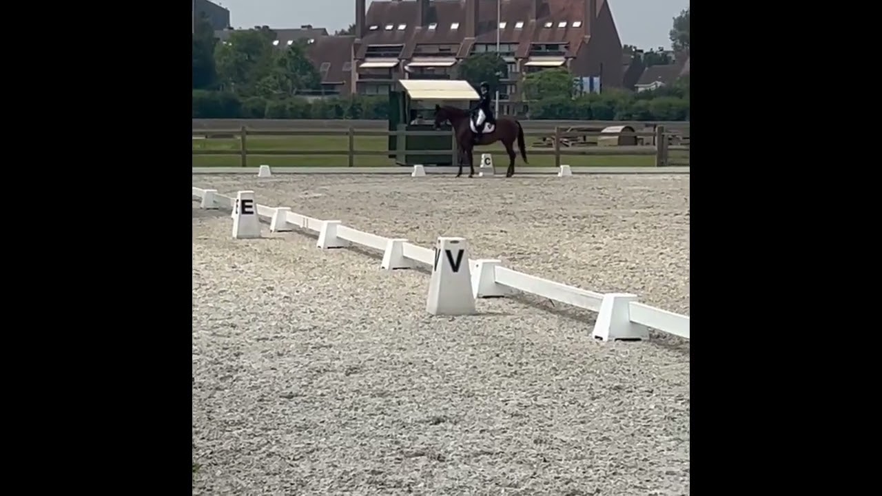 Camille and Mylo CCI 1* Dressage Nokere August 2024