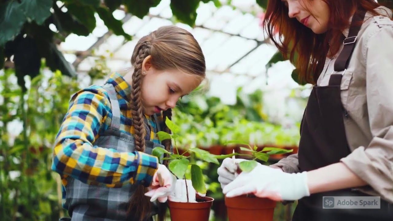 Flame Tree Troubleshooting From The Garden Republic Grower Support Team