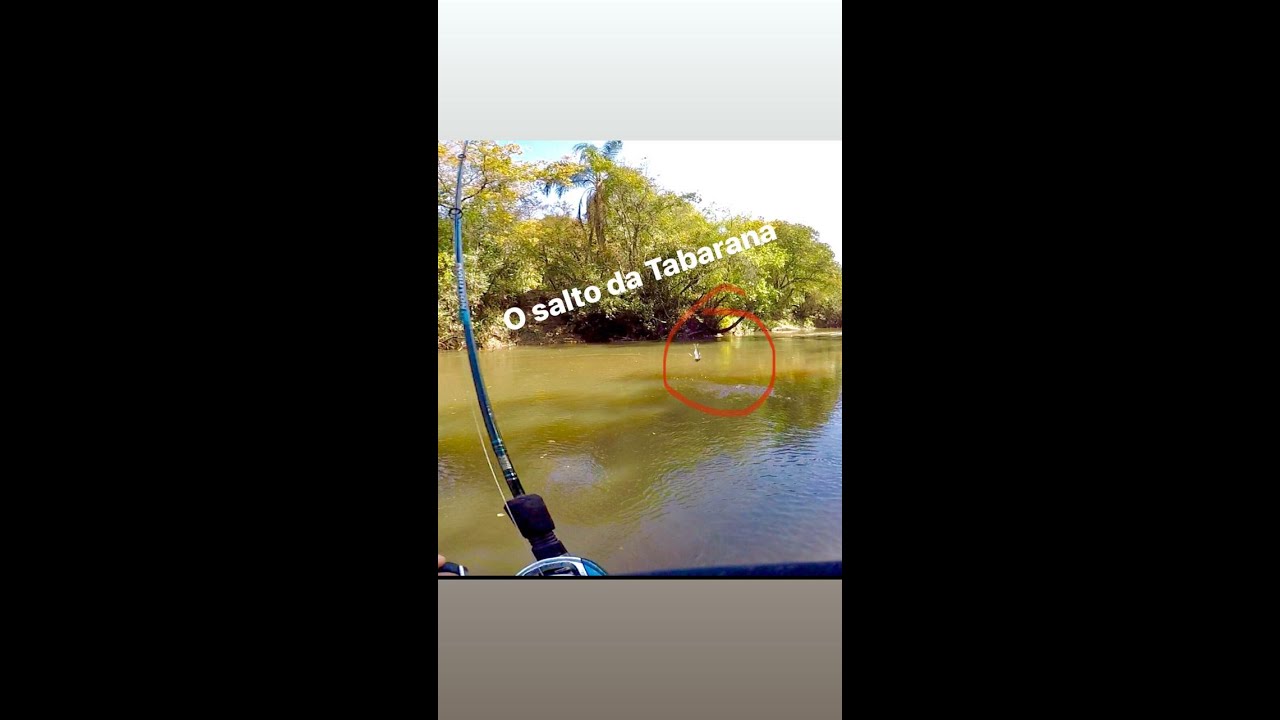 Voltei no Rio Batalha atr&aacute;s das Tabaranas