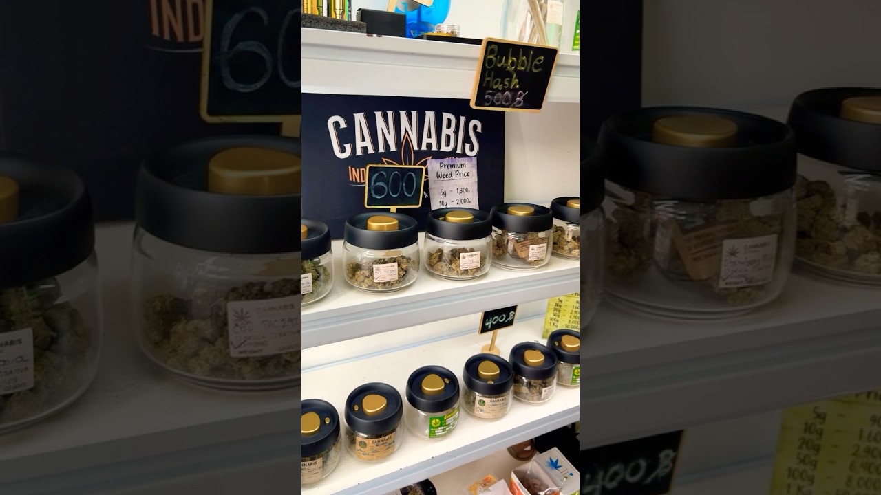 Exploring a weed shop in phuket, thailand.