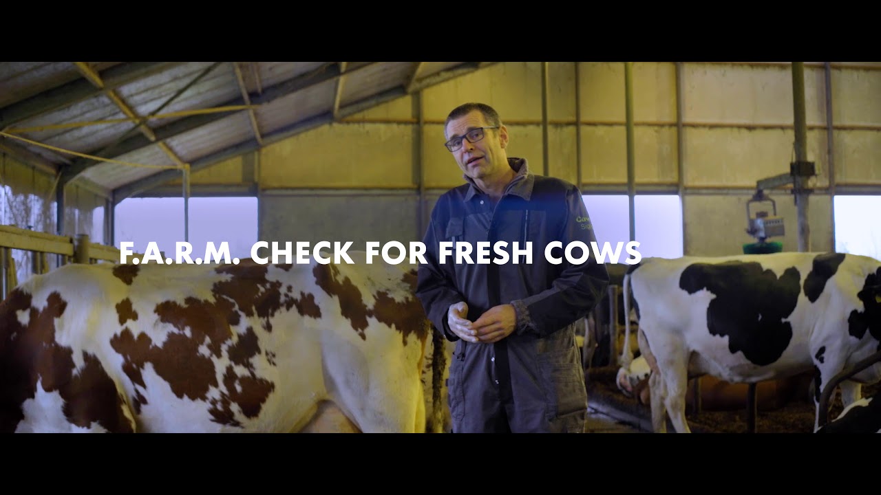 Joep Driessen, DVM, CowSignals Training Company - 5 lactations