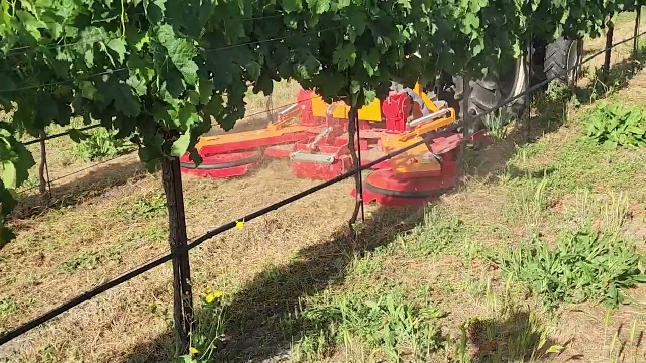 Fischer GL4W Deck Mower - Vineyard (Northern California)