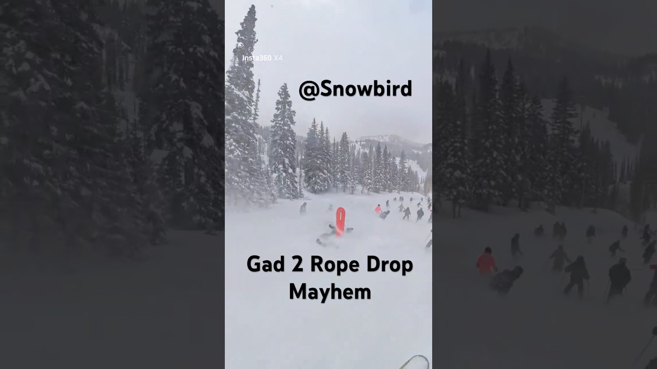 #snowbird