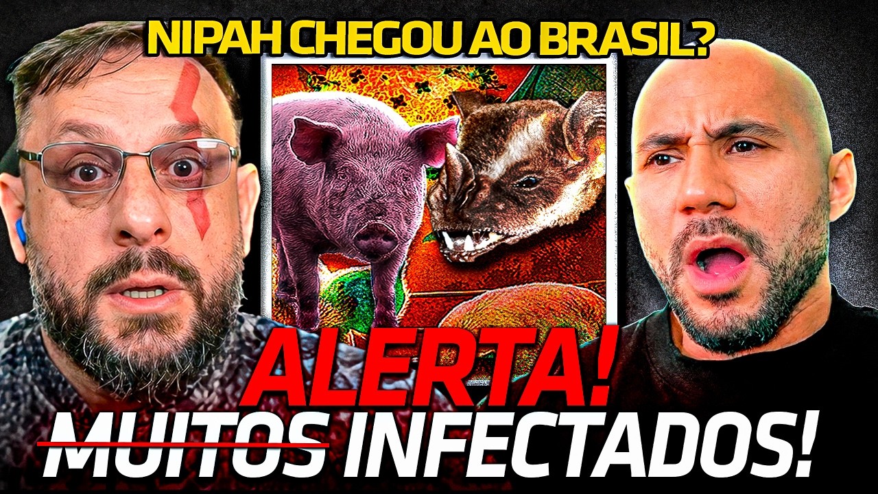 TUDO SOBRE O NOVO VIRUS NIPAH! ALERTA DE CASOS CONFIRMADOS!