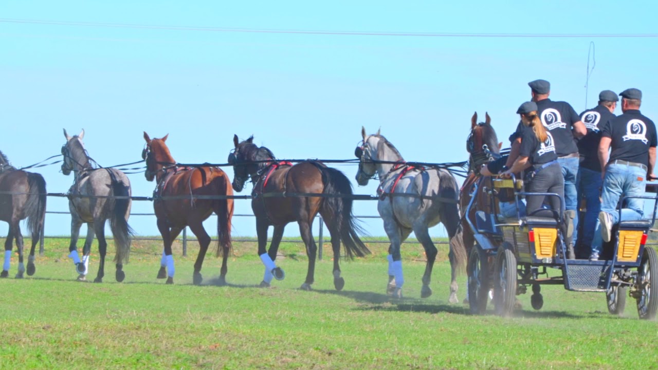 Si&oacute;demka w szydło - septon
