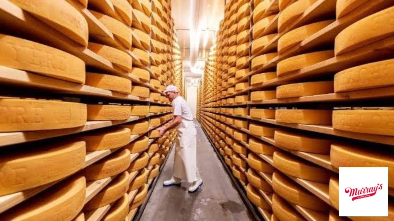 How Swiss Gruyere Cheese Is Made | How It's Made | Murray's Cheese