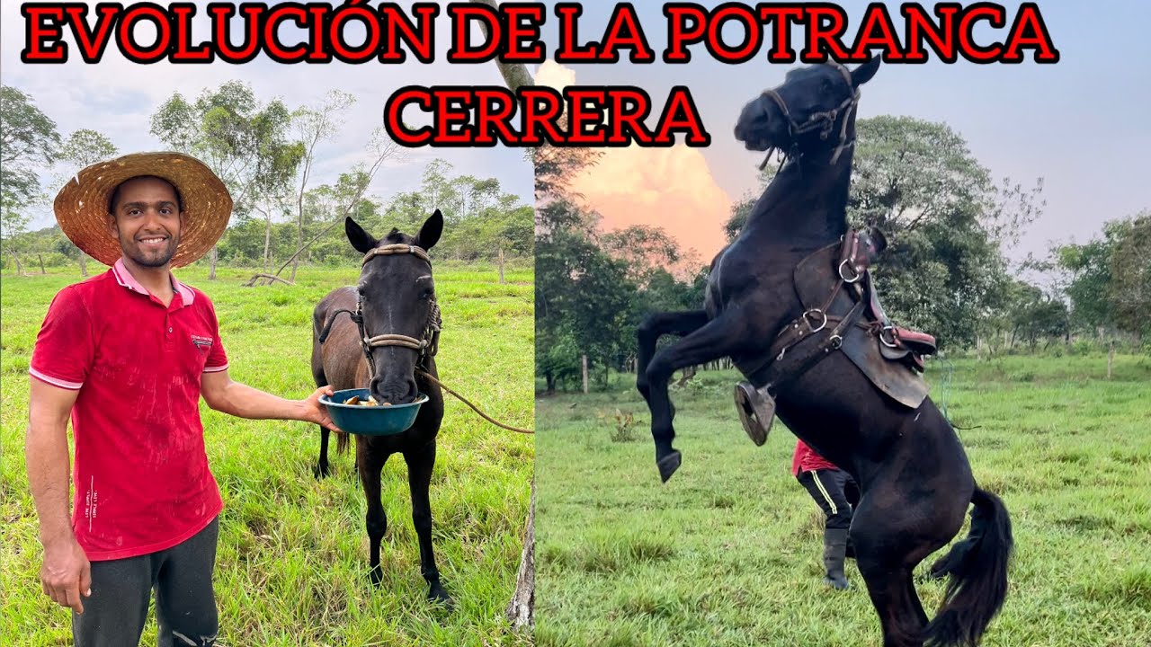 Por primera vez montamos esta potranca Candela 🔥🇨🇴